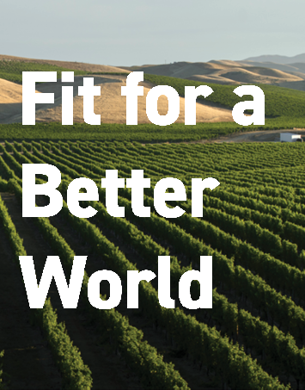 Fit for a better world
