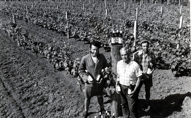 Tony, Rex and Frank Soljian in front of the Soljans vineyard