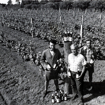 Tony, Rex and Frank Soljian in front of the Soljans vineyard