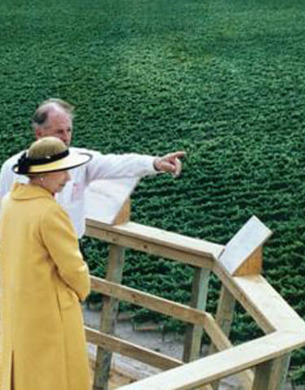 Queen Elizabeth II looking out over Brancott vineyard