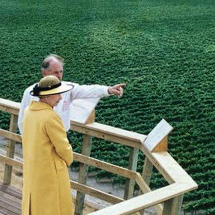 Queen Elizabeth II looking out over Brancott vineyard