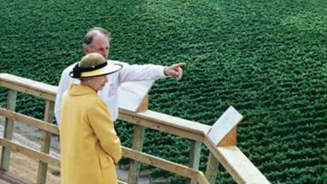 Queen Elizabeth II looking out over Brancott vineyard