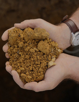 Person holding clay soil