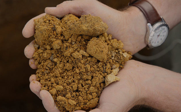 Person holding clay soil