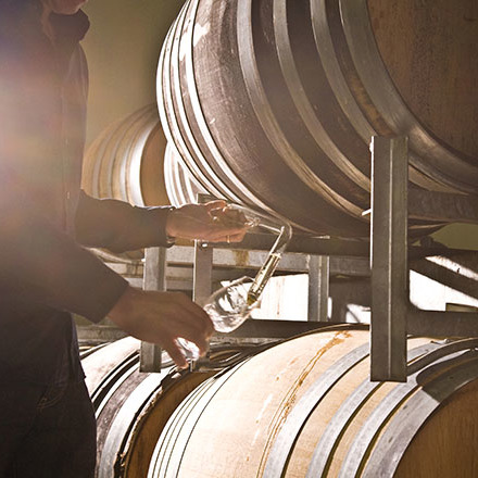 A person pouring wine from barrels at Villa Maria