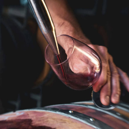 Pinot Noir being poured into a glass.