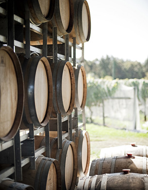 Wine barrels