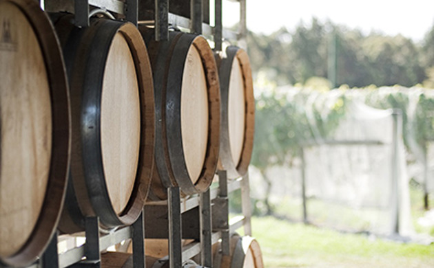 Wine barrels