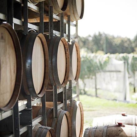 Wine barrels