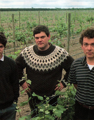 The young giesen brothers at their vineyard