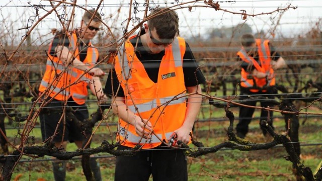 Hawke's Bay contestants