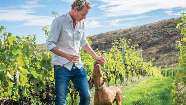 Dave Clouston in vineyard with dog