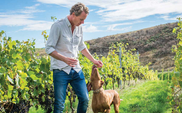 Dave Clouston in vineyard with dog