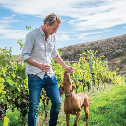 Dave Clouston in vineyard with dog