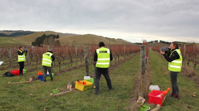 South Island contestants