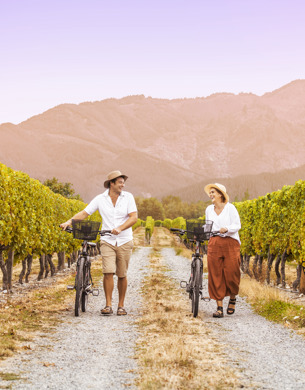 People walking through vineyard