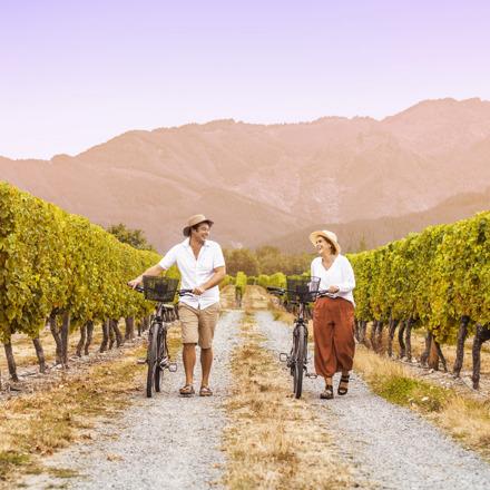 People walking through vineyard