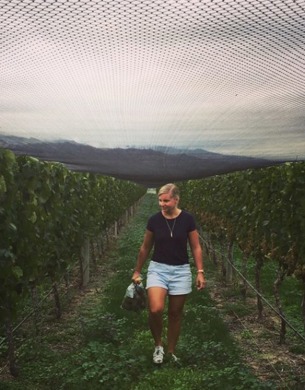 Sarah Adamson, Scout Wines