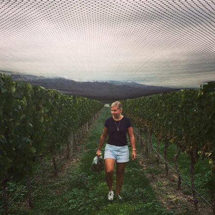 Sarah Adamson, Scout Wines