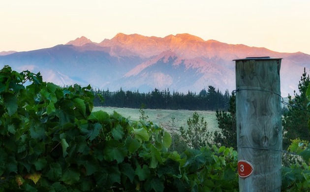 landscape, greenery with mountains in the distance