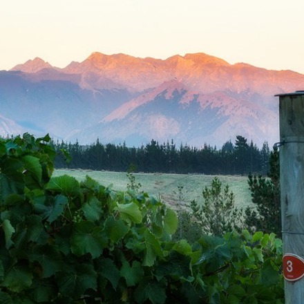 landscape, greenery with mountains in the distance