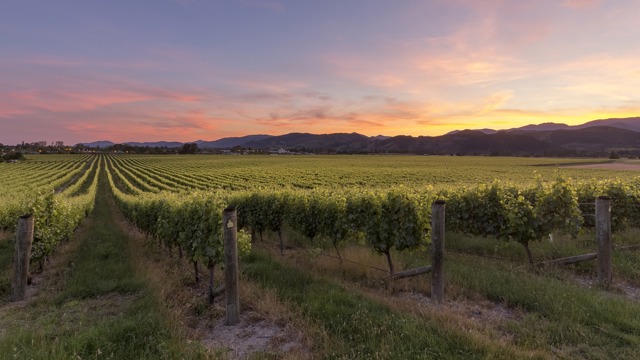 Brightwater Vineyard with sun setting over mountains