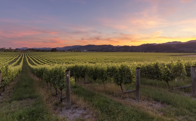 Brightwater Vineyard with sun setting over mountains