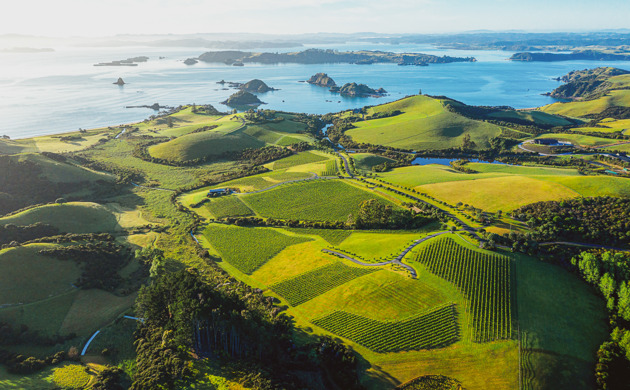 The Landing Wines Aerial View 