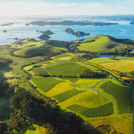 The Landing Wines Aerial View 