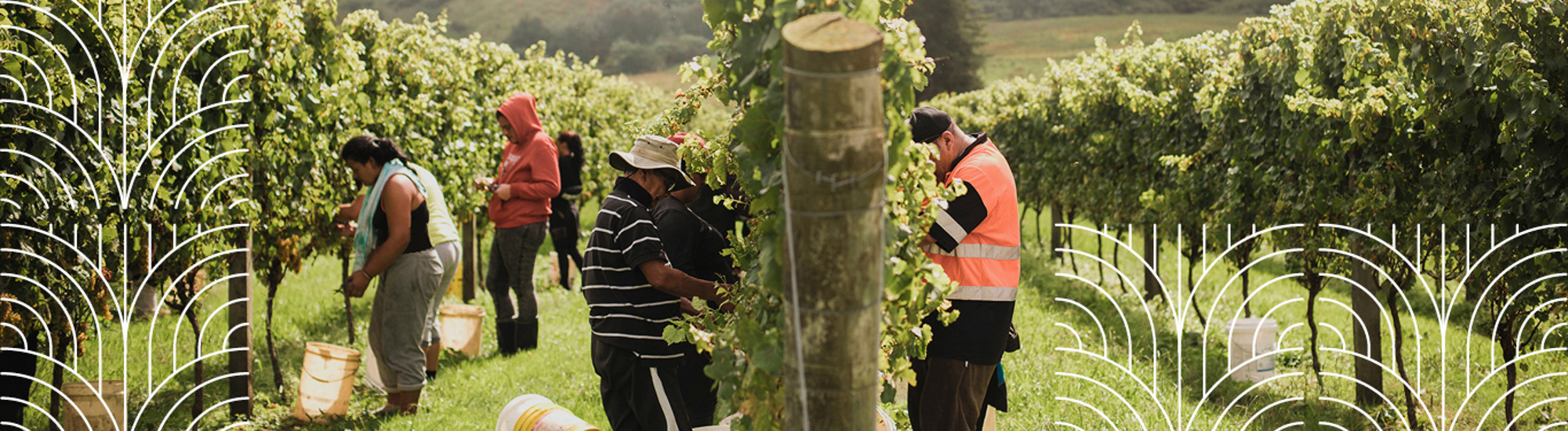 Matawhero Wines