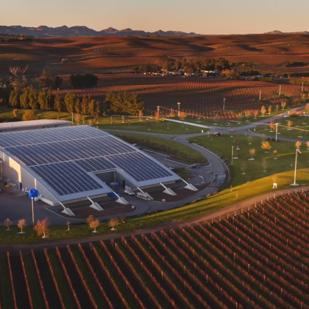 Solar panels seen from above at Yealands Vineyard